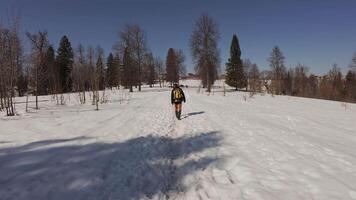 A person walking on snow in the middle of a field video