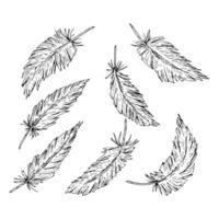 Hand-drawn set of seven bird feathers in rustic ink sketch style. Perfect for boho wedding themes, native-inspired party decor, textile prints, branding, stationery, and natural crafts. vector
