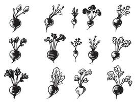 A set of black and white drawings of various vegetables vector