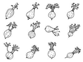 A set of different vegetables drawn in black and white vector