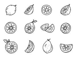 A set of lemon and lime slices vector