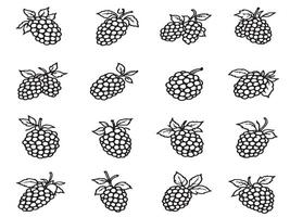 Raspberry icons set vector