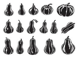 Black and white illustration of various types of squash vector