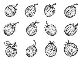 Strawberries in hand drawn style vector