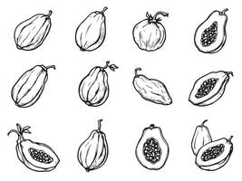 A set of fruit and vegetables drawn in black and white vector
