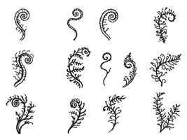 Ferns and leaves set vector