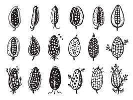 A set of different types of seeds vector