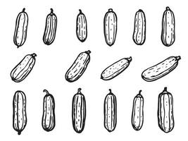 A set of different cucumbers drawn in black and white vector