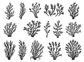 Black and white drawing of various plants vector