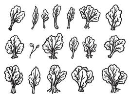 A set of different types of vegetables, including lettuce, cabbage, and radishes vector