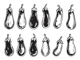 A set of different eggplant vegetables vector
