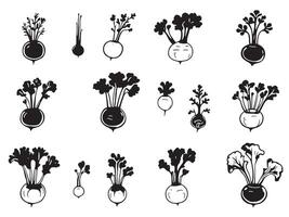 A set of black and white illustrations of vegetables vector