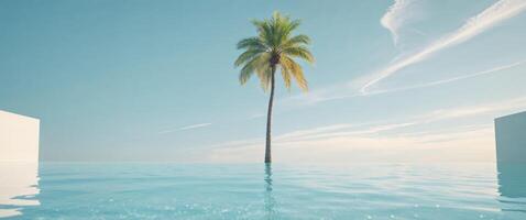 A pool with a palm tree in the background photo