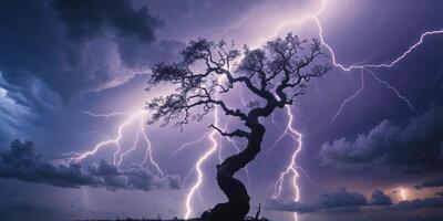 Lightning strikes over a silhouetted tree during a storm. photo