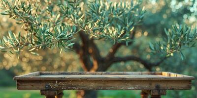 A wooden tray with a leafy olive tree in the background. photo