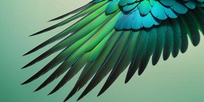 A close up of a bird's wing with a green background photo