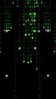 Experience captivating Digital Matrix Visuals enhanced with dynamic Binary Code Animation video