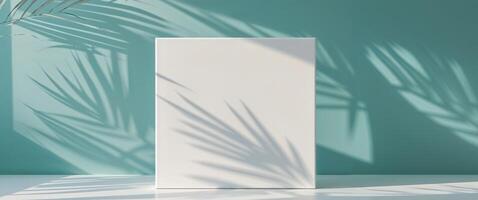 A white box with a shadow on a table photo
