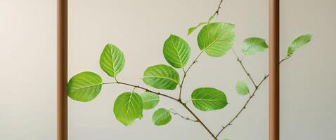 A leafy branch is shown in a brown frame photo