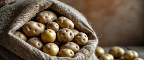 Rustic Burlap Sack Filled with Fresh Potatoes. photo