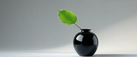 Black Vase with Green Leaf on Light Grey Background photo
