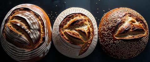 Three Different Kinds Of Baked Bread Loaves On Black Background Overhead View Offering Texture And Various Forms And Seeded Crust. photo