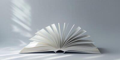 An open book with a fan on top photo