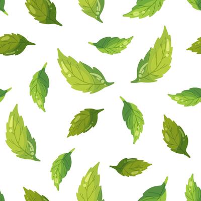 Mint leaves seamless pattern isolated on white background, tea leaf cartoon illustration for eco package, spring summer fabric fresh print, balm pharmacy health, beautiful green colors and shiny glare