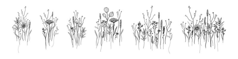 Big set of isolated compositions of wild field flora, flowers, herbs, plants, branches, Minimal botanical line art for nature backdrop, tattoo, invitations, floral border, place for text, banner vector