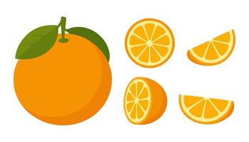 Fresh Orange Fruit with Leaf and Assorted Wedge Cuts on Transparent Background vector