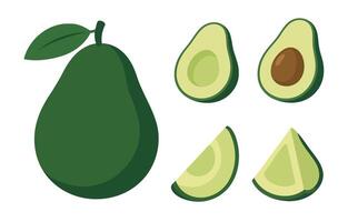 Fresh Green Avocado with Halves and Segments Isolated on Transparent Background vector