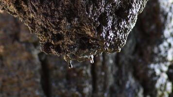 Water drops sliding through a rock in a cave video