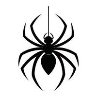 spider icon on white background vector