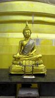 A medium shot features a radiant golden Buddha statue in meditation, seated on an ornate golden base and draped with a shimmering cloth. video