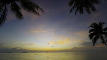 A stunning tropical sundown over a serene ocean is depicted in a wide-angle, low-angle shot, bordered by lofty palm trees. video