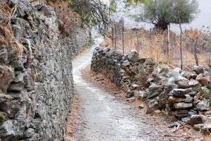 A stone wall and a path next to a tree photo