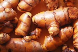 Fresh turmeric root displayed in natural light on a wooden surface photo