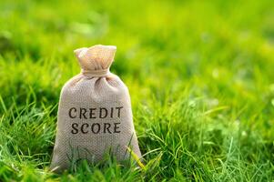 Credit score concept. Numerical representation of an individual's creditworthiness, which is used by lenders to assess the risk of lending money to that person. Money bag on a grass photo