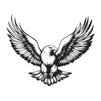 Eagle With Fiery Wings Images isolated on white background. vector