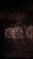 Captivating fireworks display lighting up the night sky as crowds gather in celebration during a festive event video