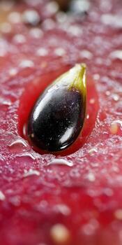 Ultra close macro view of a watermelon seed for nature and food design photo
