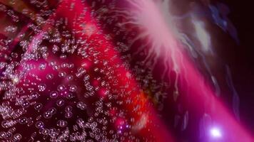 A red and purple abstract explosion of fireworks video
