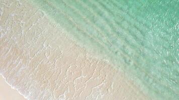Aerial drone zenithal view of a transparent and calm sea splashing on a sandy beach. Ocean waves from a bird's eye view. video