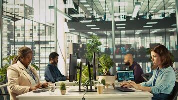 Accountant in busy modern startup agency imputing financial figures on PC after checking reports. Focused businesswoman working in modern office, crosschecking data, camera B video