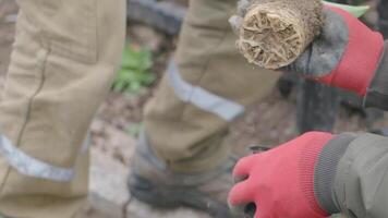 Hands-on experience with soil testing in outdoor environment video