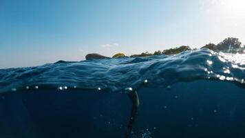 Training In The Ocean In Freestyle For A Professional Swimmer On A Sunny Day video