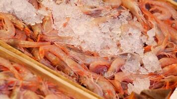 Fresh shrimp on display at a local market in summer video