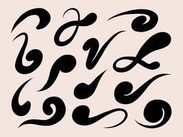 Bold Brush Swirl and Flourish Stroke. A collection of 13 bold black brush swirl elements with dynamic curves and elegant flourishes for calligraphy accents and modern layouts vector