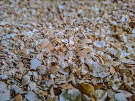 Close-Up View of Crushed Eggshells. A Textural Study of Discarded Eggshell Fragments photo