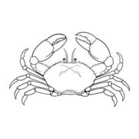 Line drawing of a crab, emphasizing its anatomy and sharp pincers vector